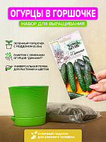 Набор для выращивания "Огурцы"